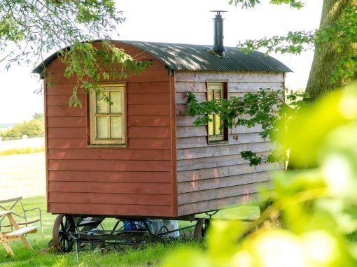 The Dirty Duck campground