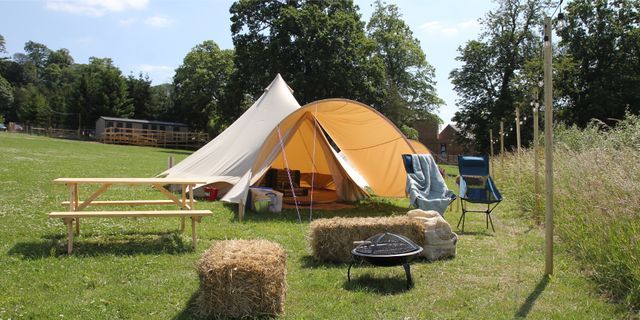 The Dirty Duck campground photo 4