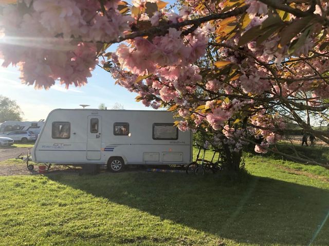 Maythorne caravan site photo 2