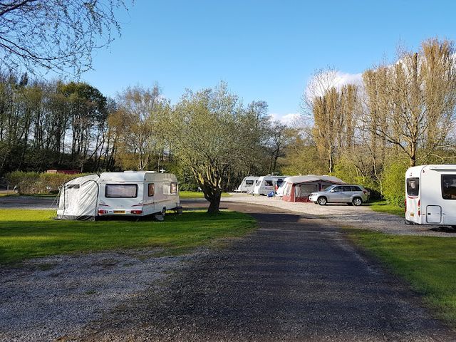 Eden Tree Caravan photo 2