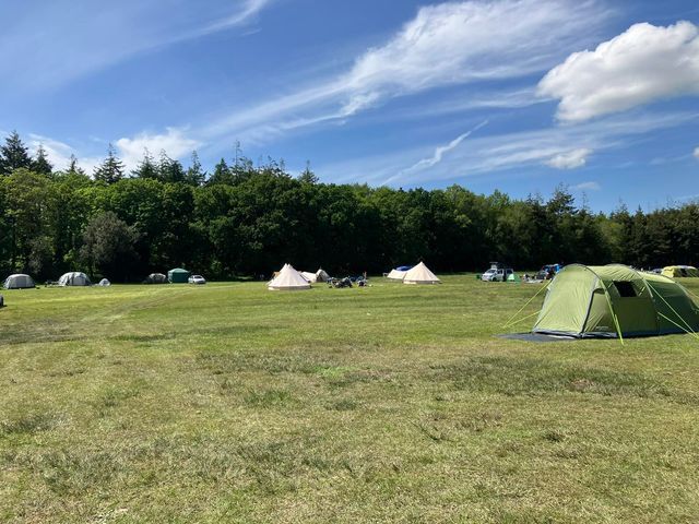 Primrose Fields Campsite photo 5