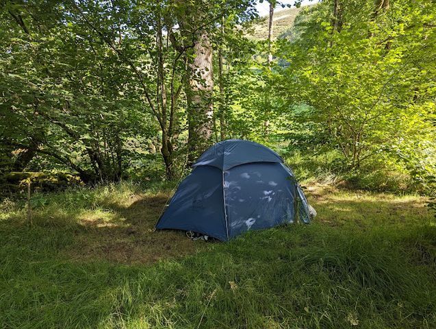 The Wildman Woods campsite