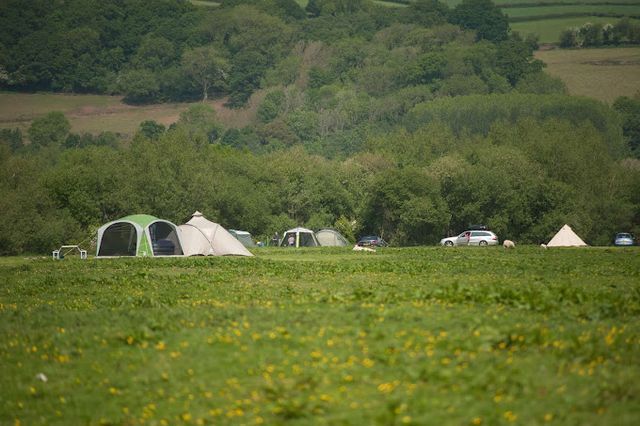 Digeddi Wildlife Camping photo 3