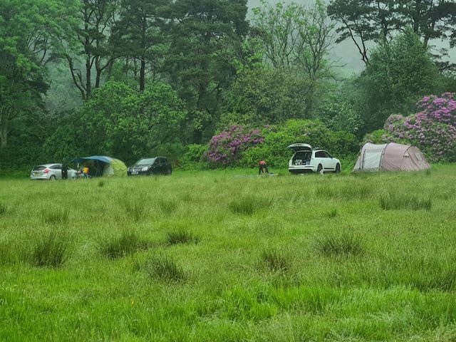Doleinion Campsite photo 2