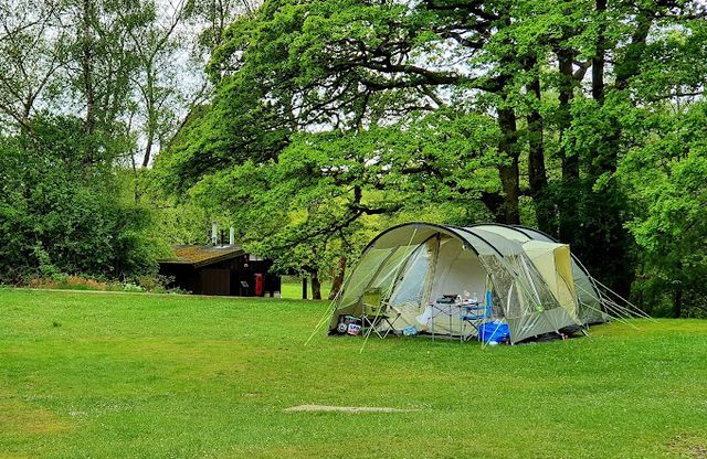 Low Wray Campsite photo 3