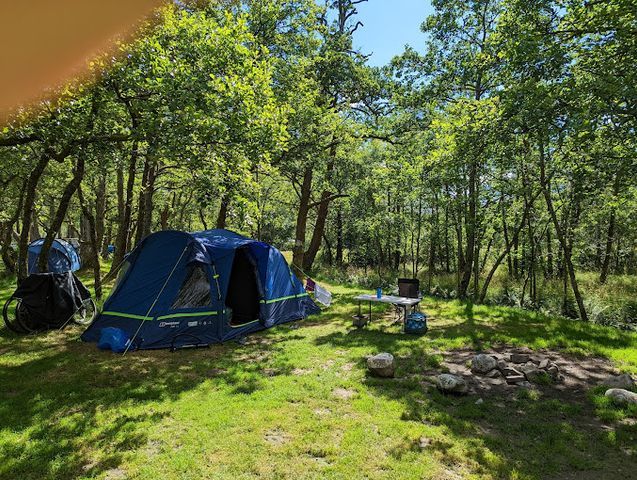 Newgale Campsite photo 2