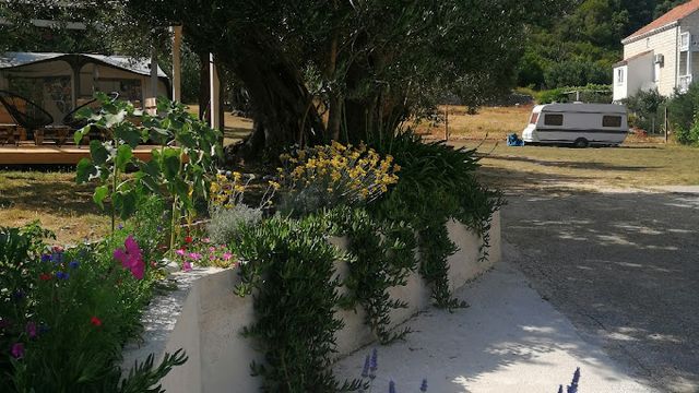 Camp Maslina photo 5