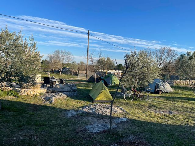 Camp Europa photo 4