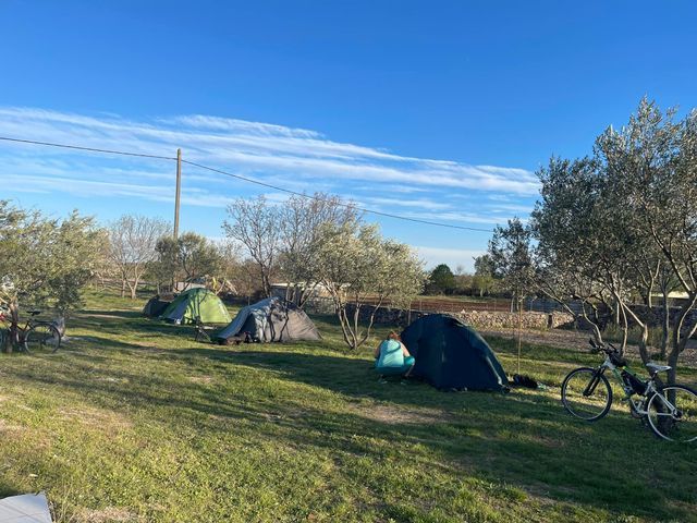 Camp Europa photo 3