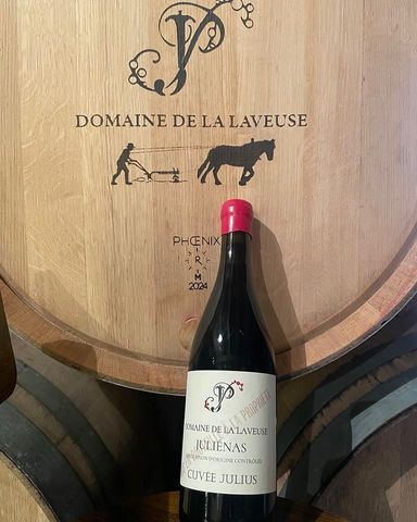 Domaine de la Laveuse photo 5