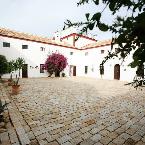 Cortijo las arenillas photo 3
