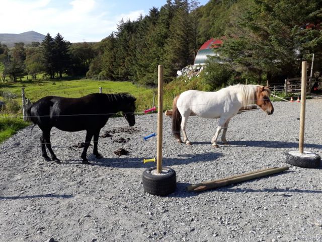 Vestkapp Camping photo 2