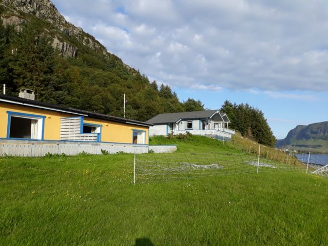 Vestkapp Camping photo 3