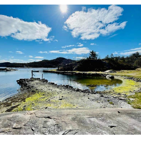 Camp Ålfjorden photo 4