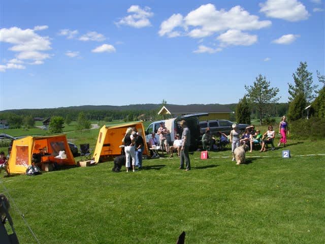 Sukken Camping photo 2