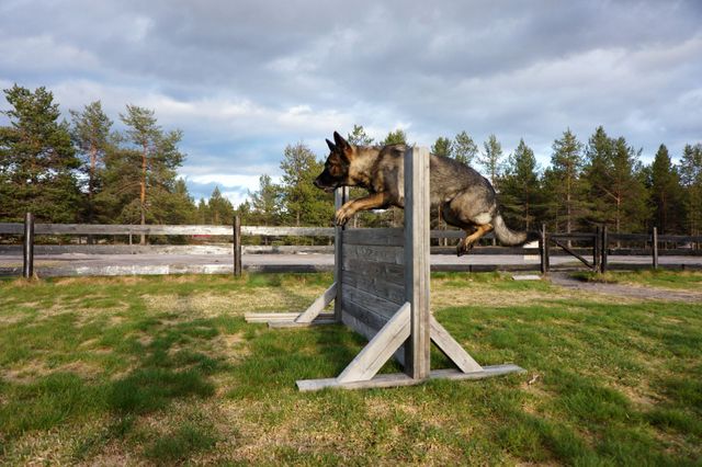 Sølenstua Camp and Hytter
