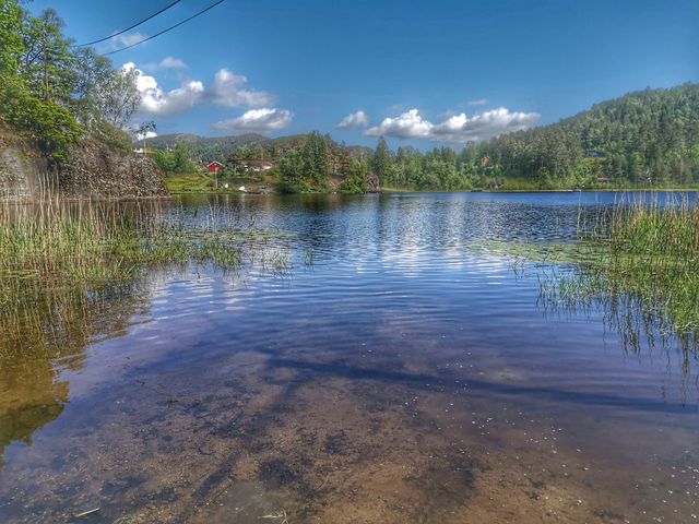 Svindland Camping photo 2