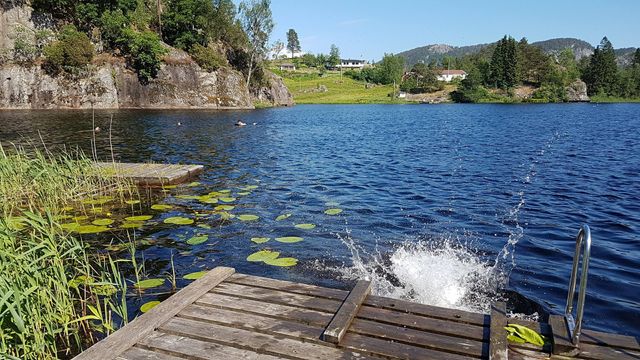 Svindland Camping photo 5