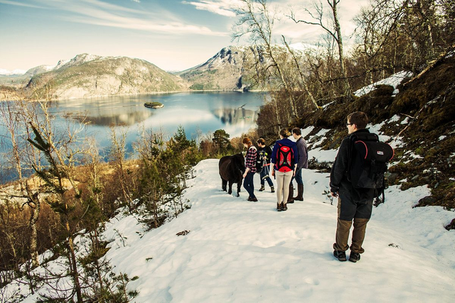 Sunndalsfjord Camping photo 3