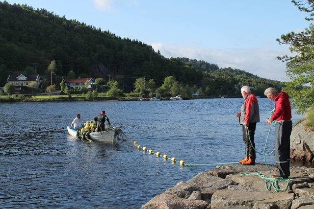 Sandnes Camping Mandal photo 5