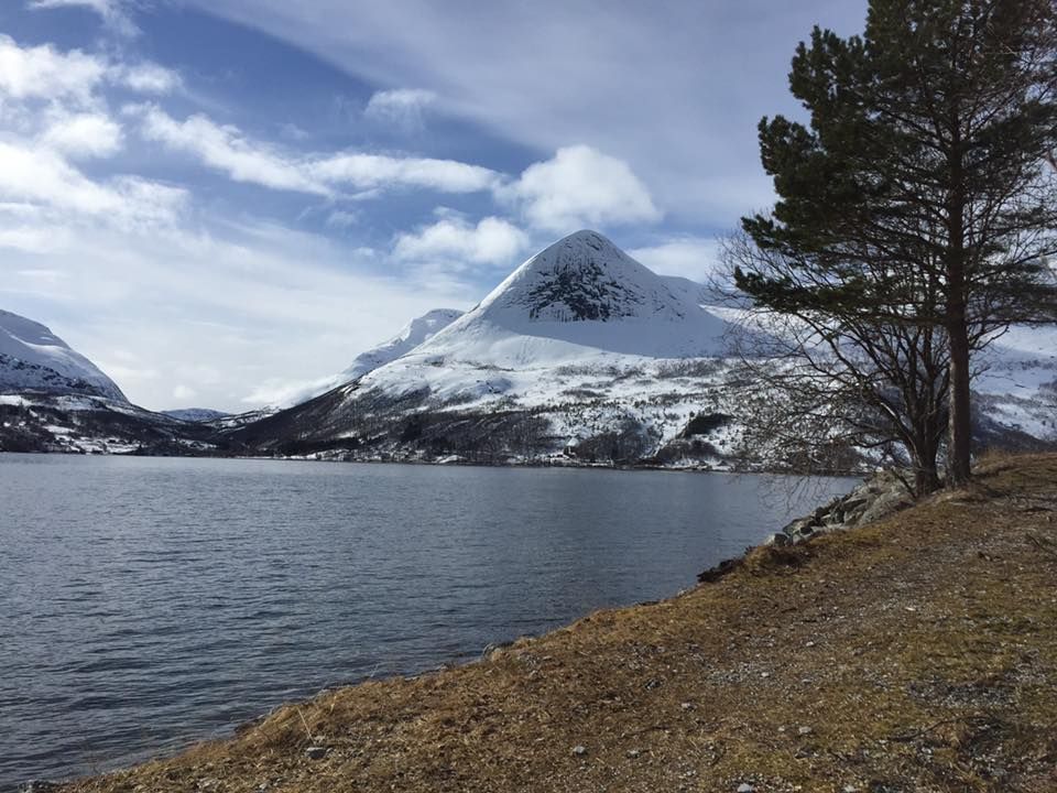 Mørsvikbotn Camping photo 5