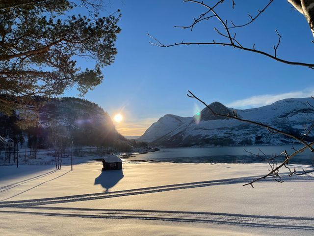 Mørsvikbotn Camping photo 4