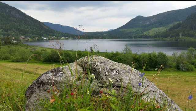 Bøen Camping & cafe a/s photo 5