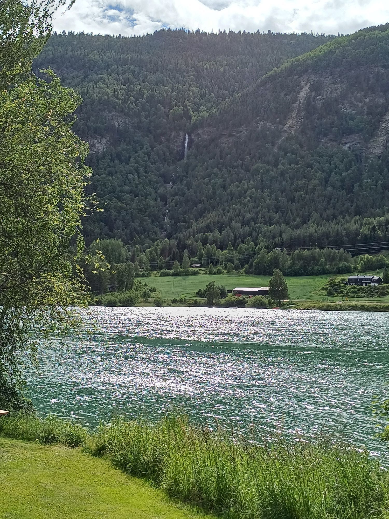 Sæta Camping photo 4