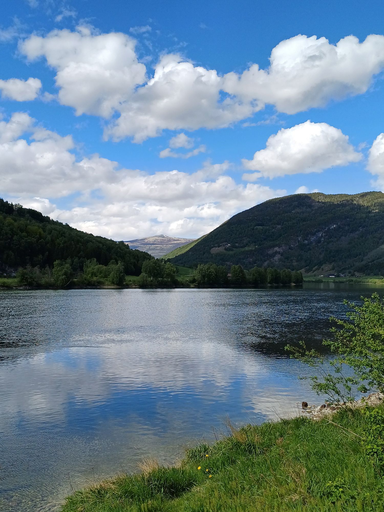 Sæta Camping photo 2