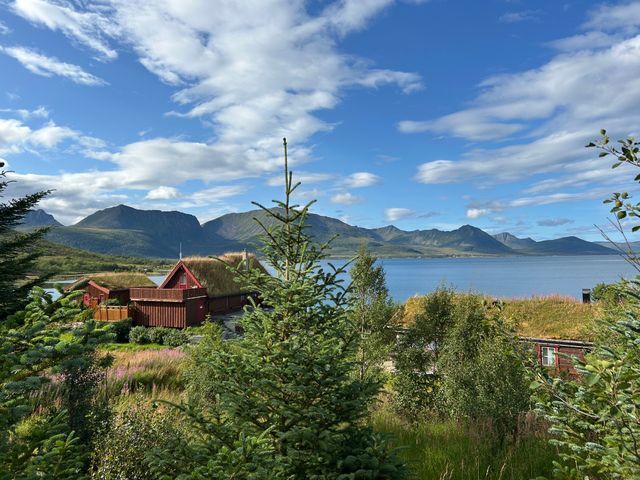 Andøy Friluftssenter AS - Photo 2