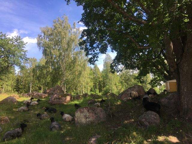 Staffansbo Gård photo 2