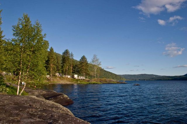 Ørpen Camping photo 2