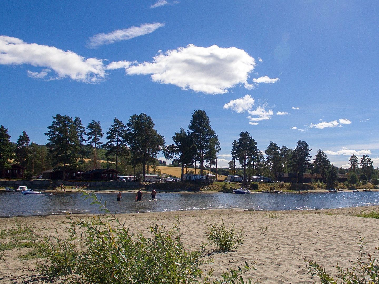 Odin Camping photo 5