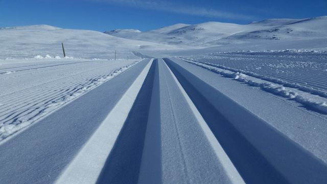 Bjorli Vintercamping photo 2