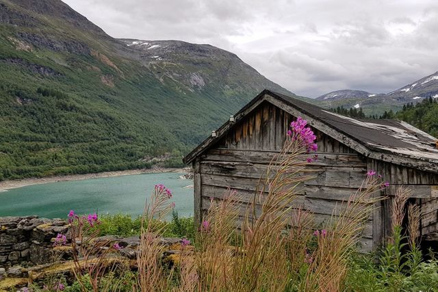Tafjord Båthamn & Bistro/Camping photo 4