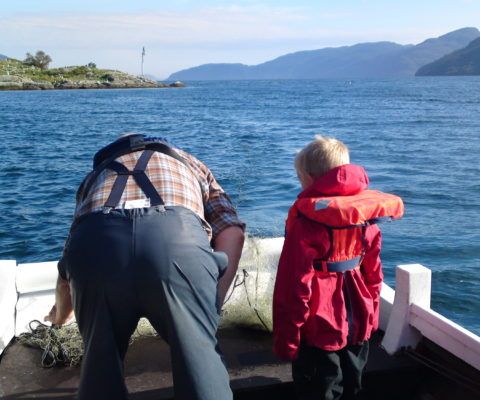 Vikedal Camping AS photo 2