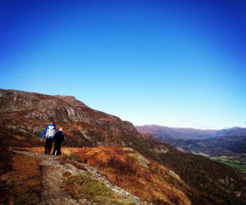Vikedal Camping AS photo 3