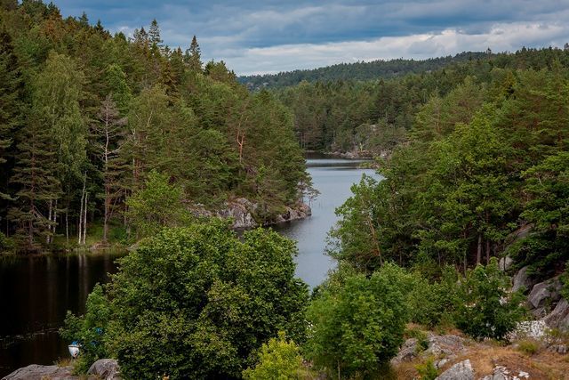Hommen Gård photo 2