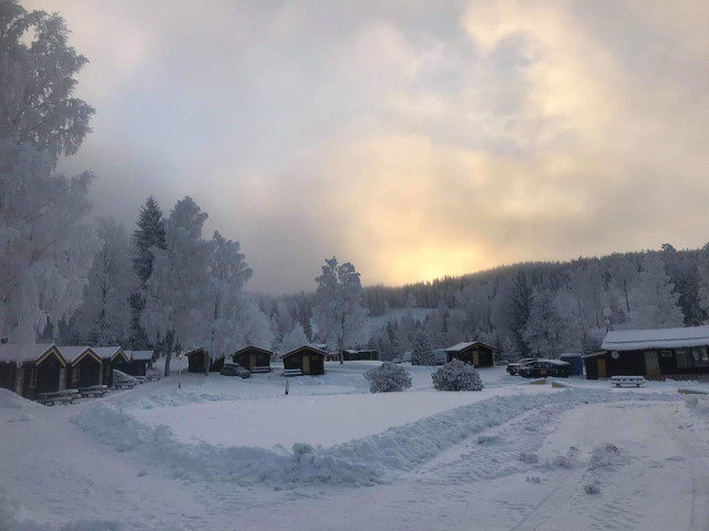 Sigernessjøen Camping photo 5