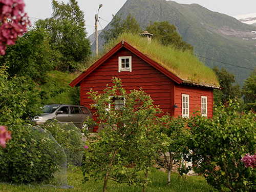 Kjøsnes Feriehytter photo 3