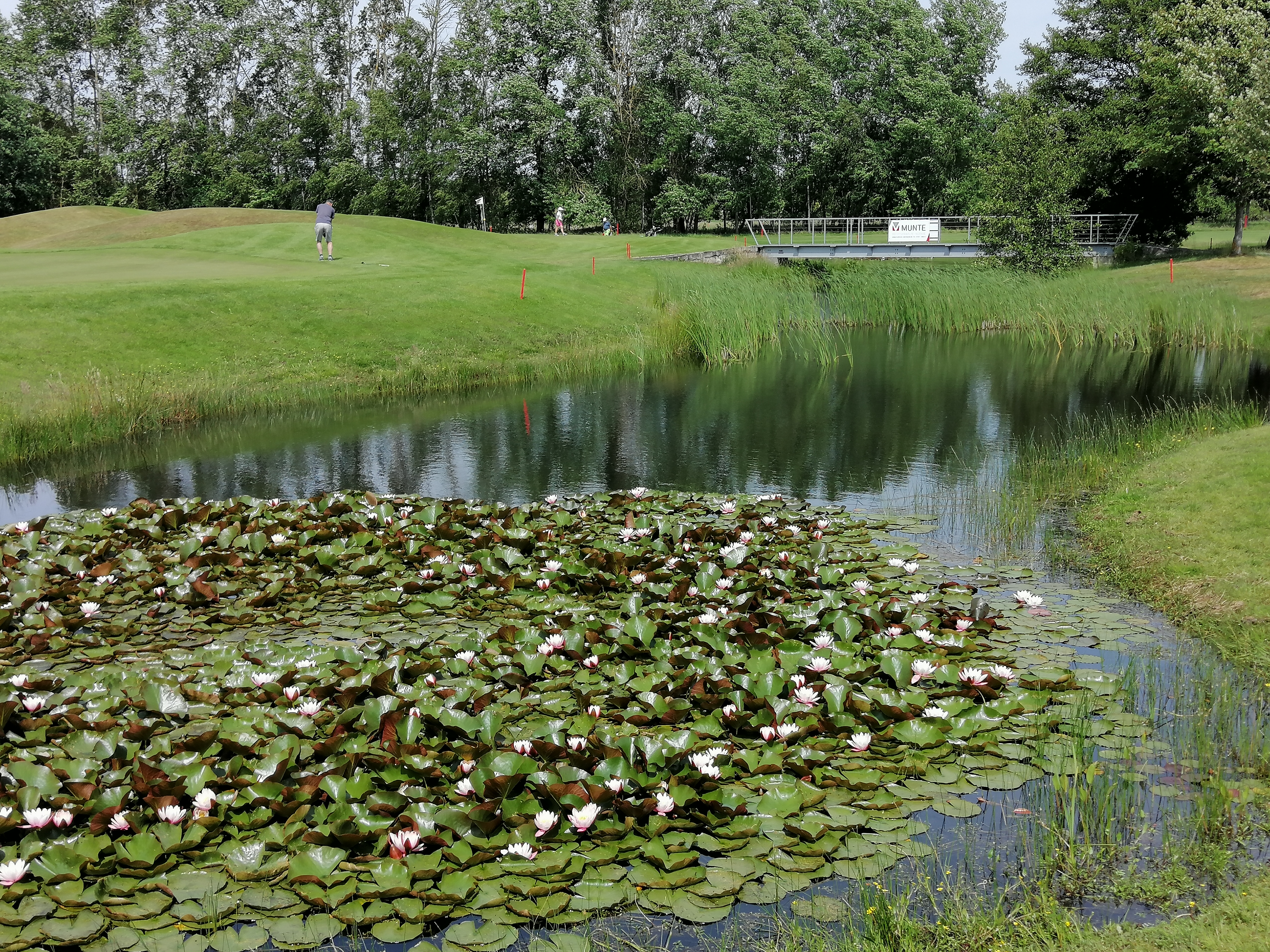 Golfclub Wolfsburg Boldecker Land e.V.
