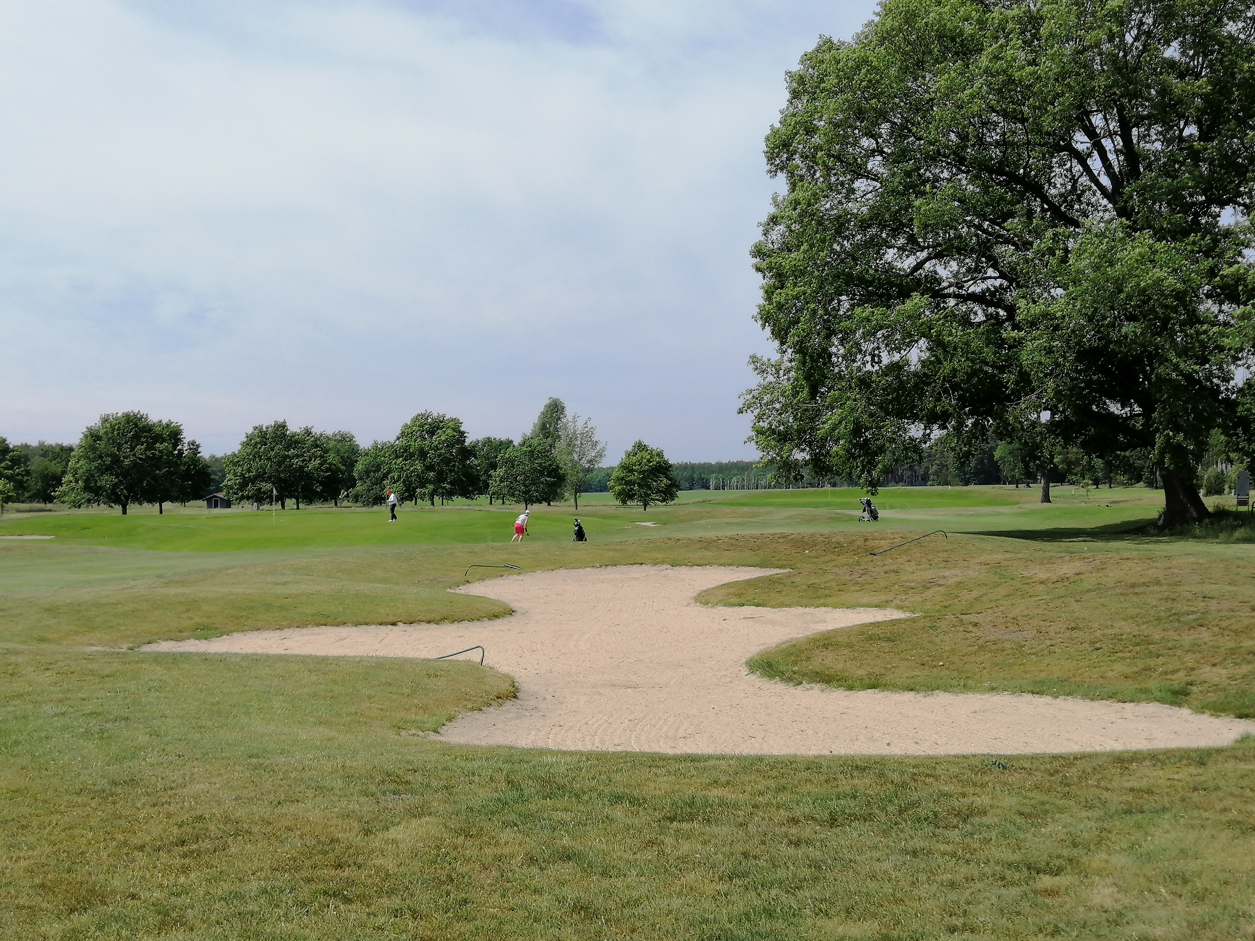 Golfclub Wolfsburg Boldecker Land e.V.