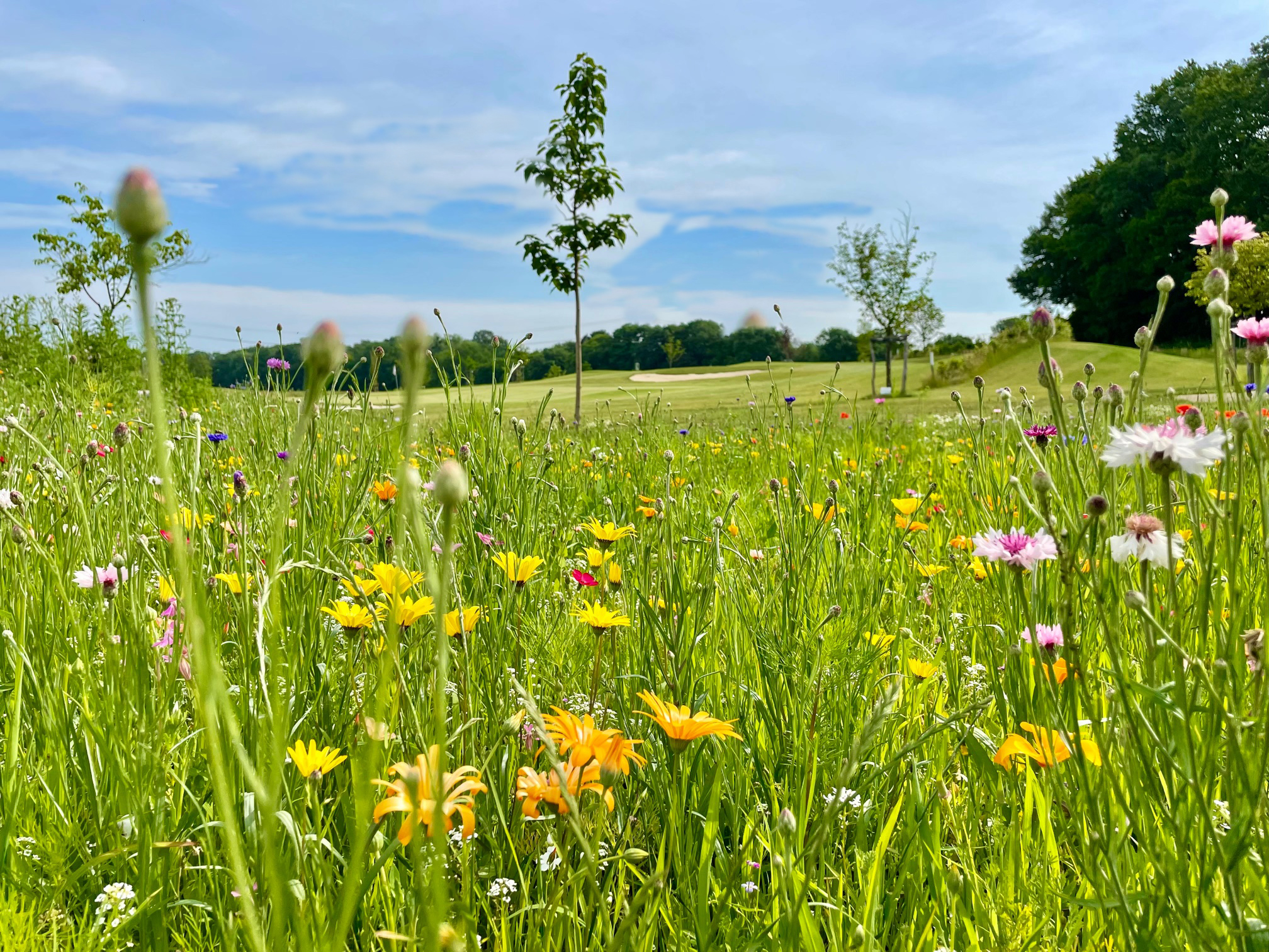 Golfpark Loherhof