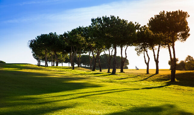 Añoreta Golf