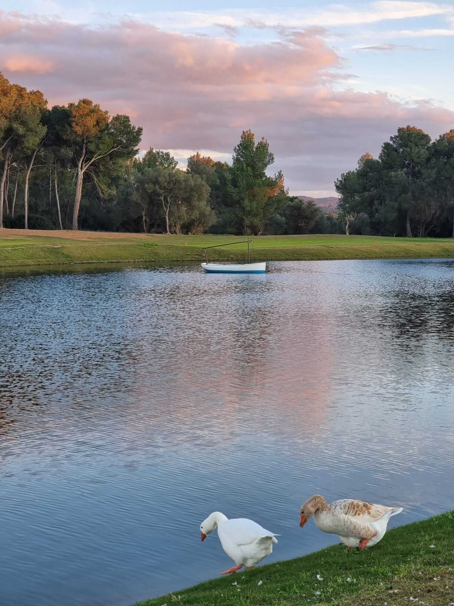 T Golf Palma