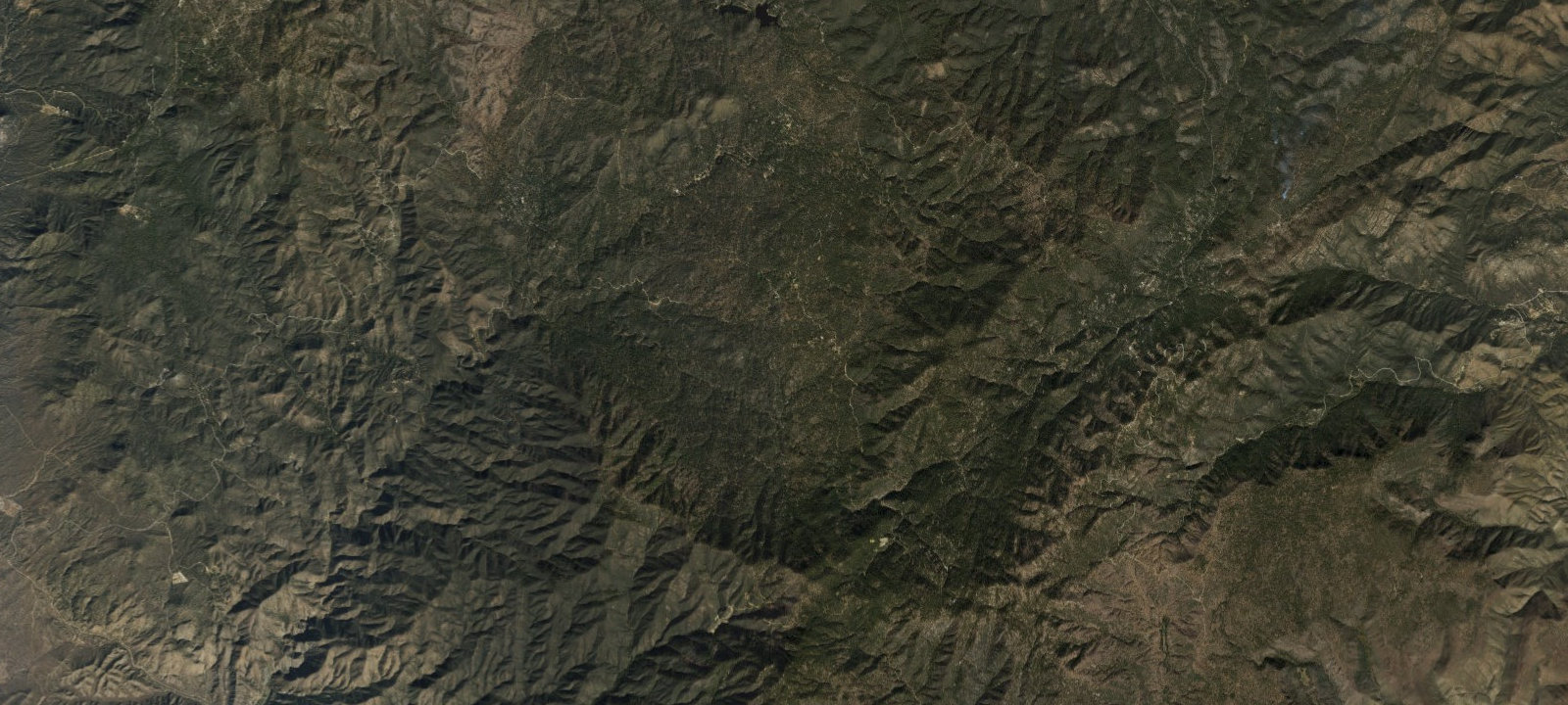 Map of Site 6