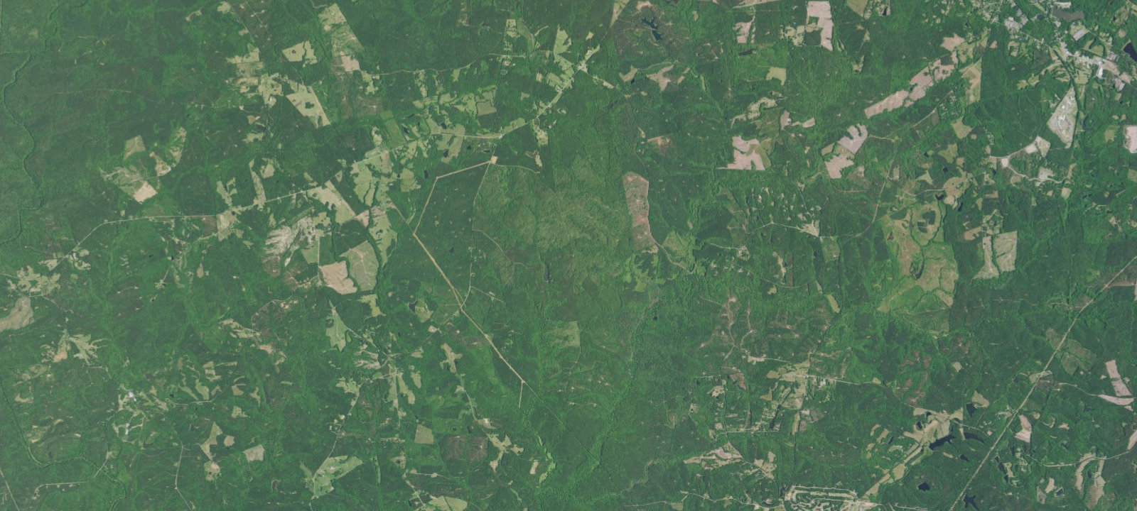 Map of Lick Fork Lake