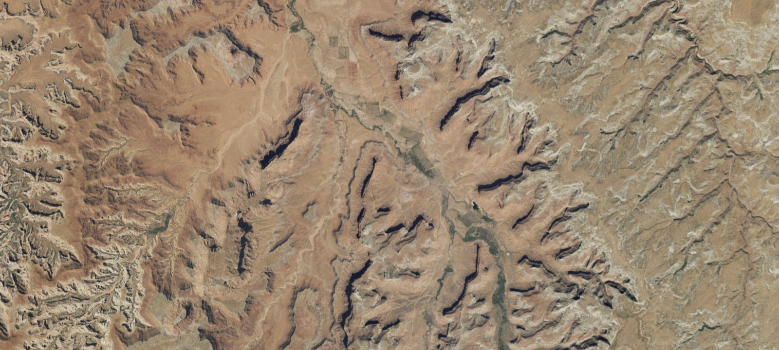 Map of Bridger Jack Designated Campsite