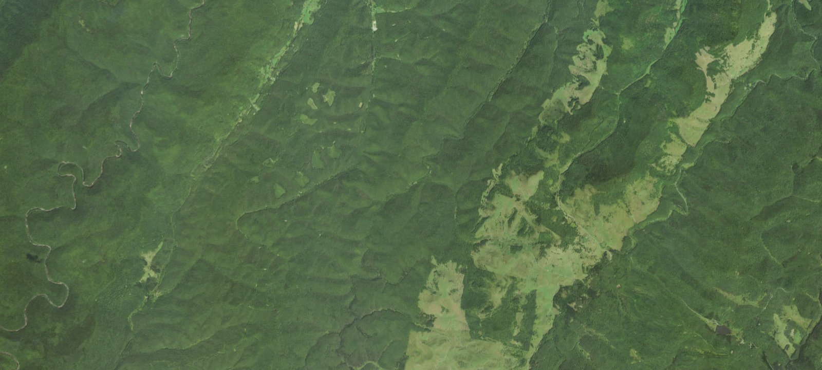 Map of Laurel Fork Campground