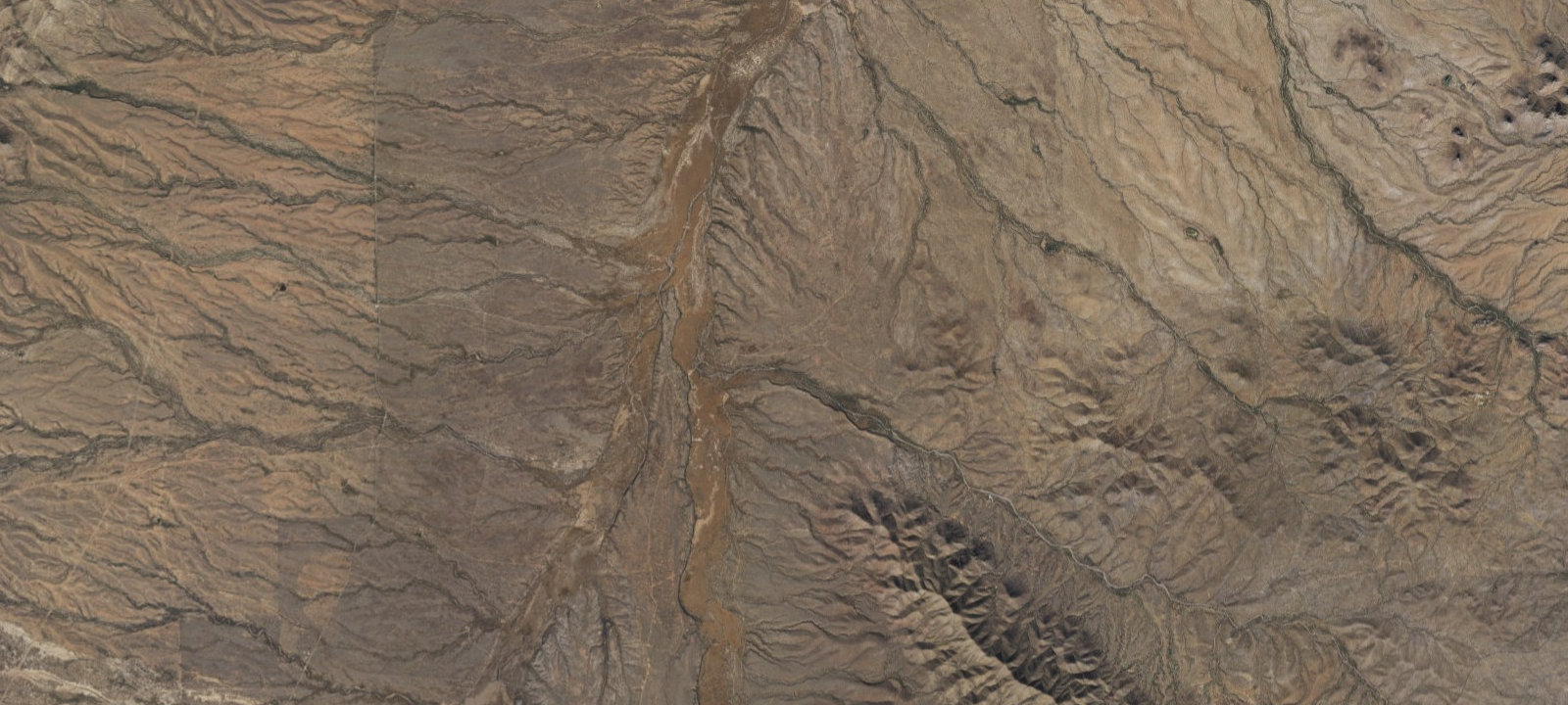 Map of Campsite #14